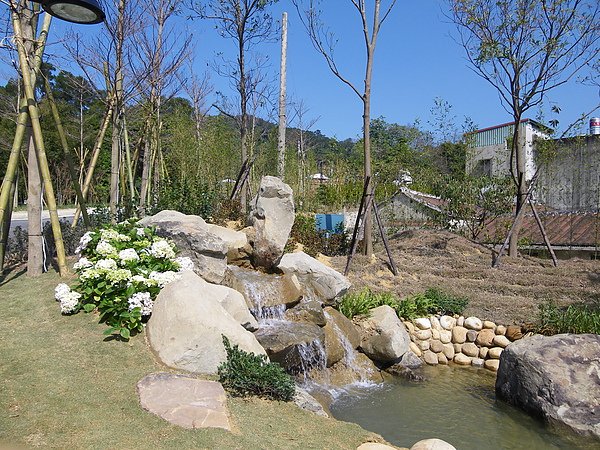 IMGP4005.JPG
