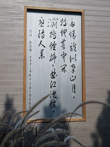 IMGP0879.JPG