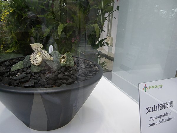 IMGP1313.JPG