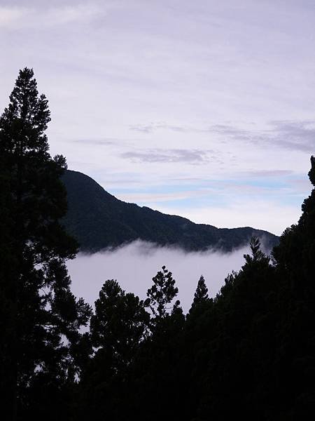 IMGP6500.JPG