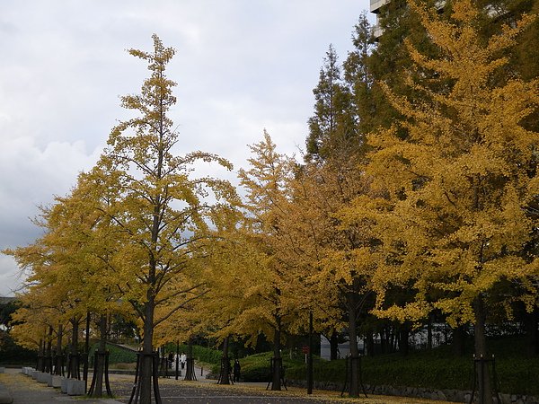 IMGP3190.JPG