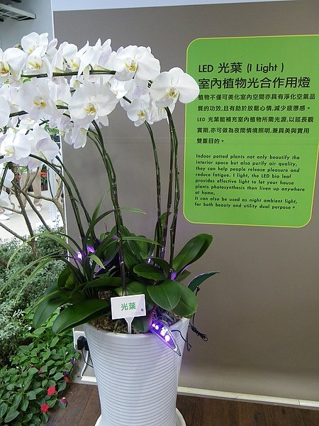 IMGP1293.JPG