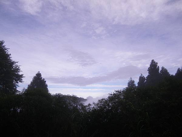 IMGP6494.JPG
