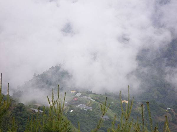 IMGP6372.JPG