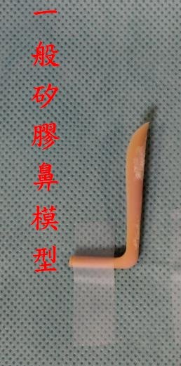 矽膠鼻模型1.jpg