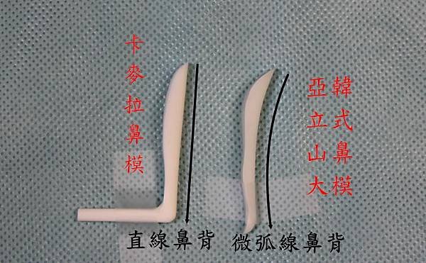 鼻模2.jpg