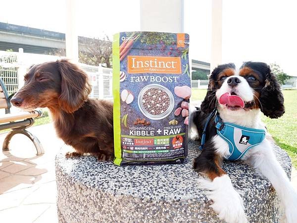 原點 Instinct 毛孩市集 寵糧 飼料 零食 玩具