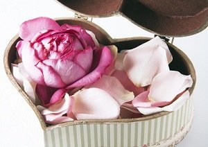 求婚企劃