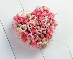 竹南結婚紀念日