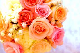 沙鹿媒人婆提親訂婚結婚