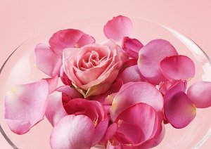 科技新貴徵婚交友相親