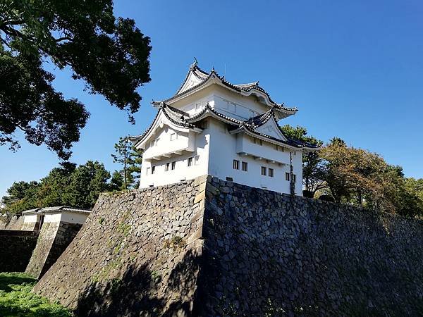 IMG_20181025_122758.jpg