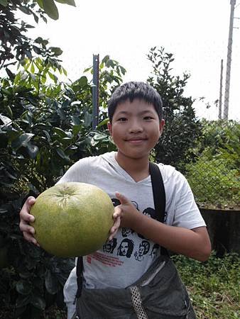 P9021230
