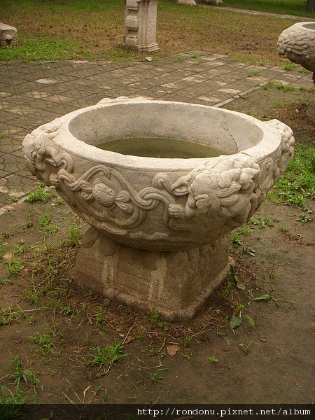 DSCN8526.JPG