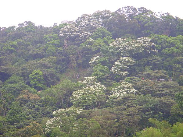 DSCN6409.JPG