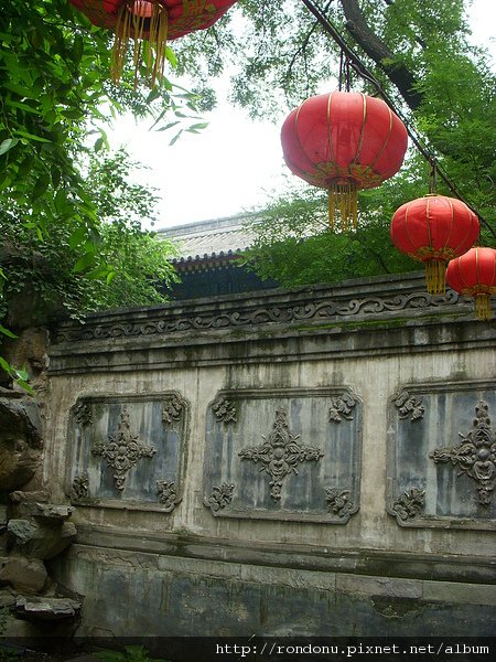 DSCN8663.JPG