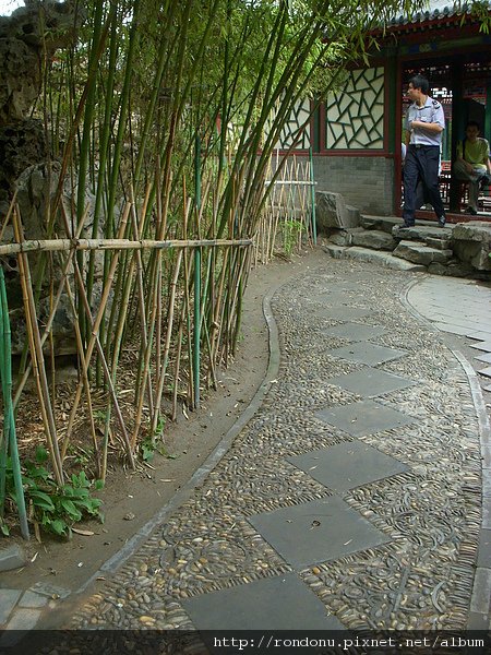 DSCN8652.JPG