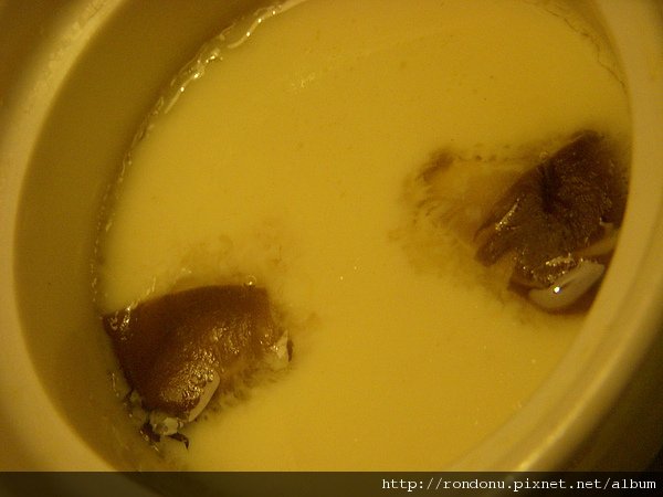 DSCN8281.JPG