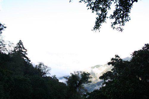 IMG_1875_500.jpg