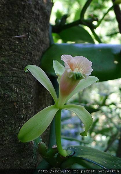 P1250749