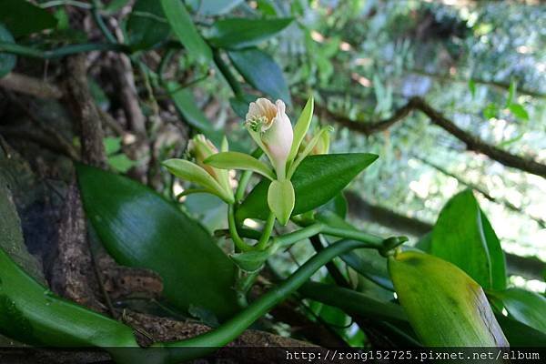 P1250744
