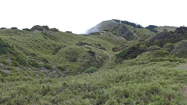 P1960530.JPG