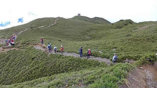 P1960531.JPG