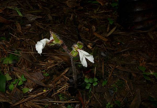 P2070932.JPG
