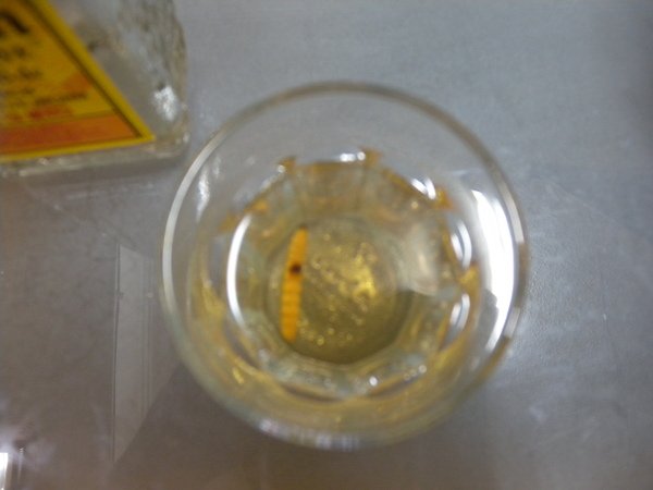 DSCN0804.JPG