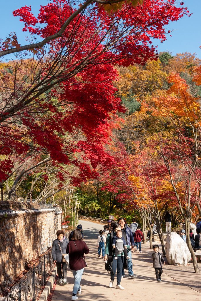 TwoStoryTour_和談樹林_20181102_004.jpg