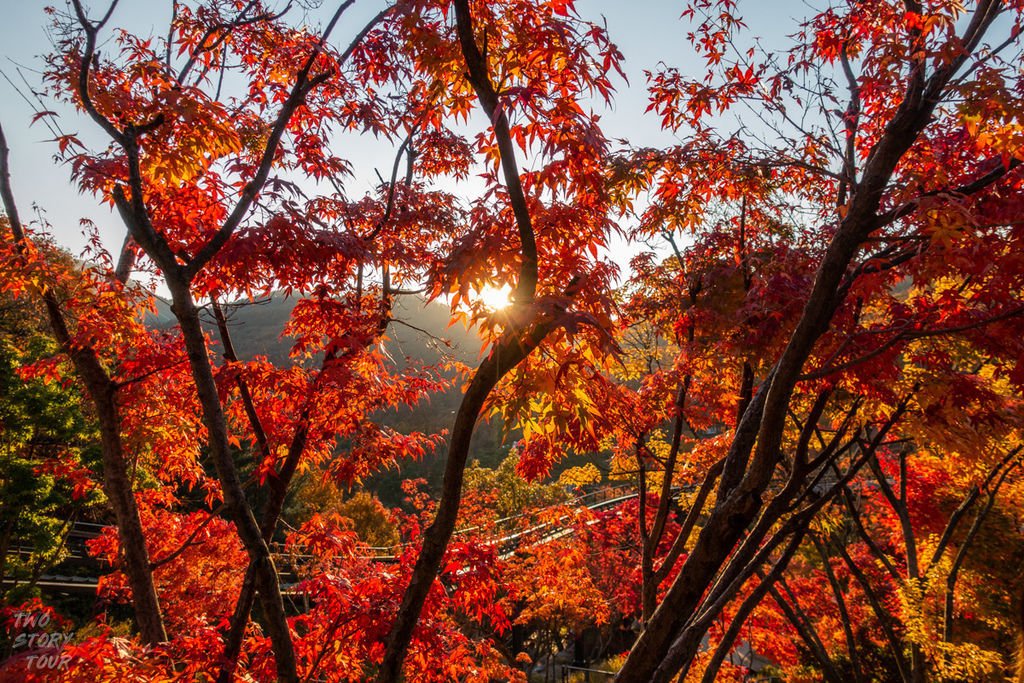 TwoStoryTour_和談樹林_20181102_037.jpg