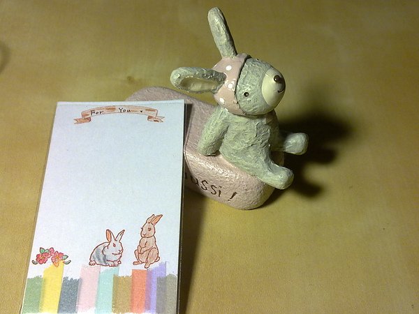 20100316271.jpg