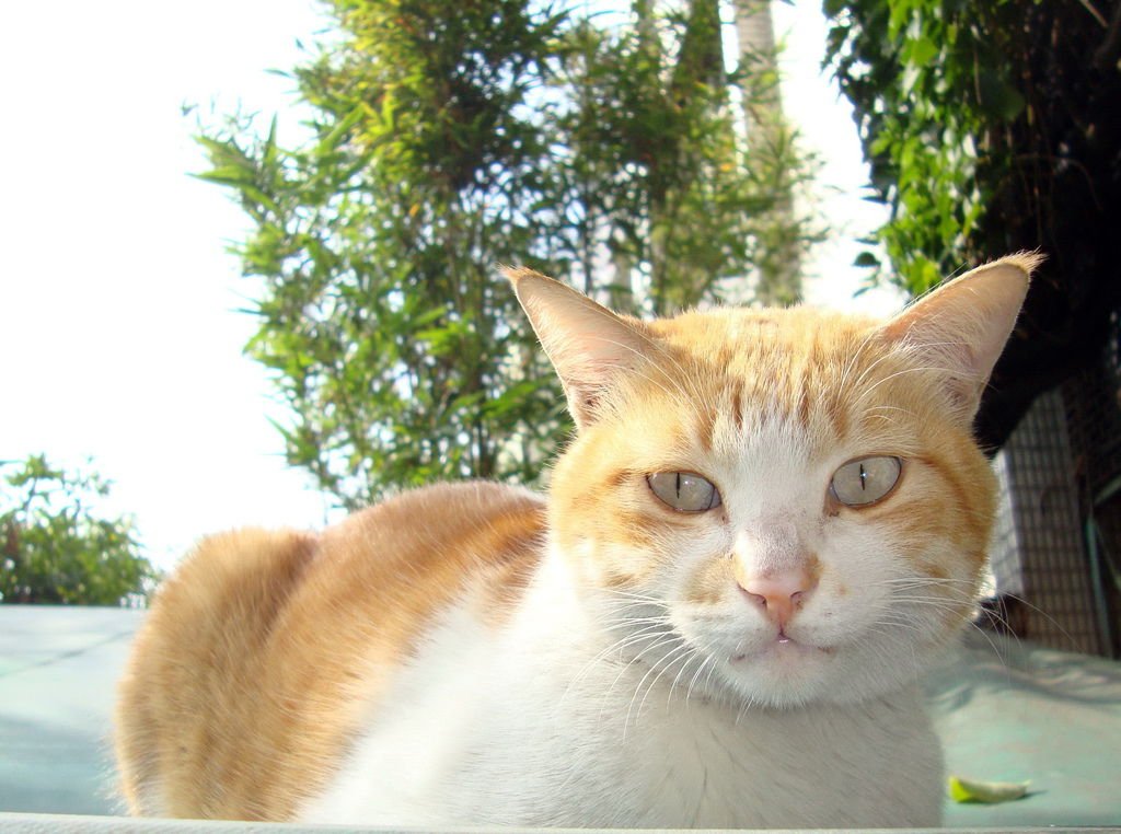 DSC07130