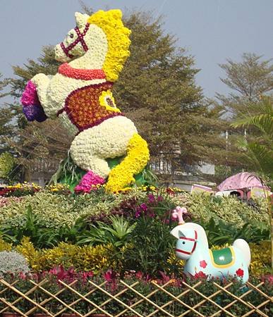 DSC08235.jpg