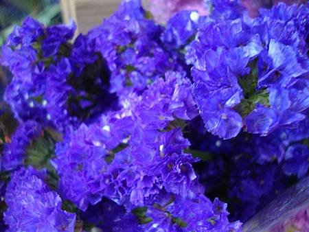 DSC08719.JPG