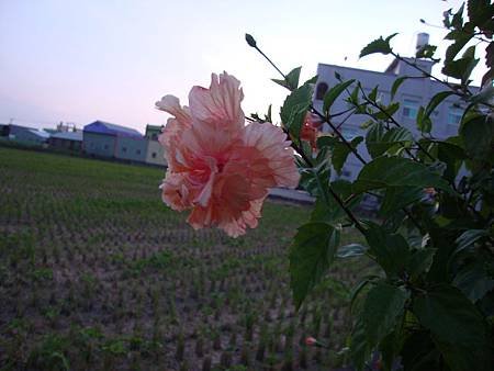 DSC02026.JPG