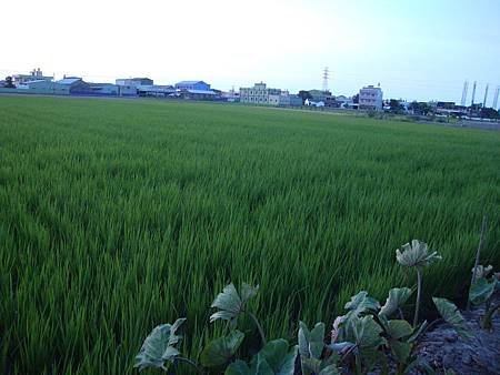 DSC02033.JPG