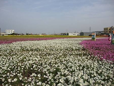 DSC09033.JPG
