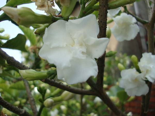 DSC09790.JPG