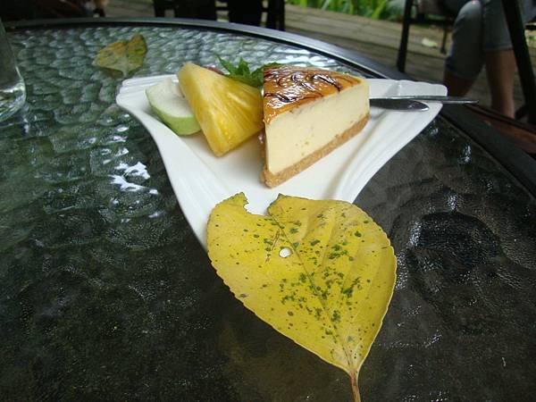 DSC00181.JPG