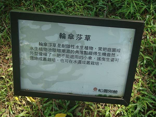 DSC00055.JPG