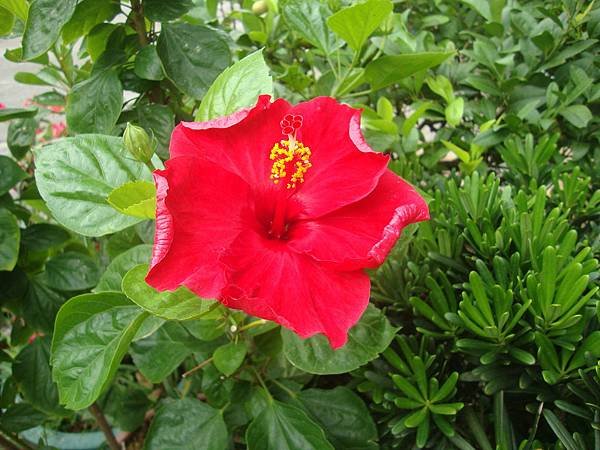 DSC00851