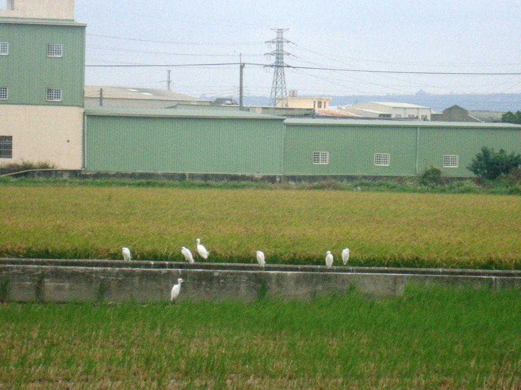 深秋3.jfif
