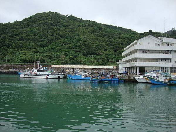 綠 54.jpg