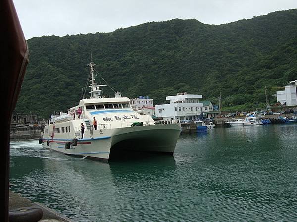 綠 56.jpg