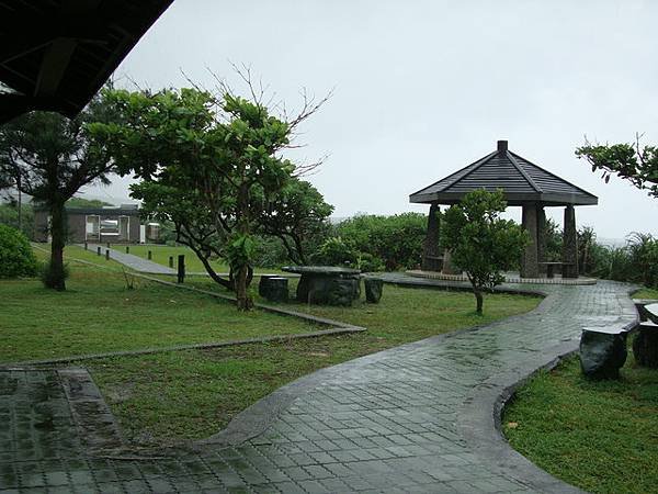 綠 62.jpg