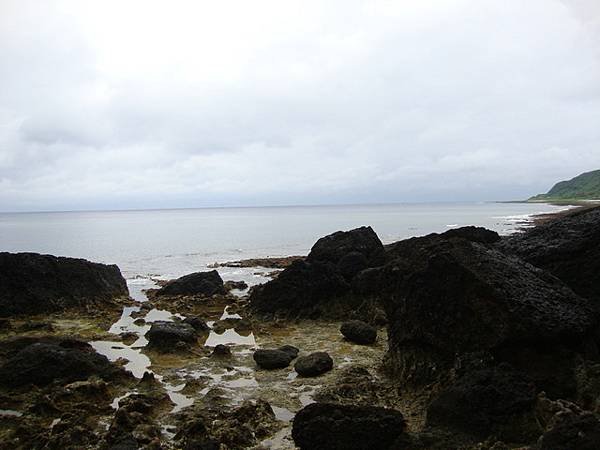 綠  33.jpg