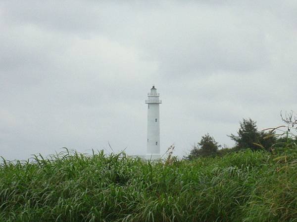 綠  39.jpg