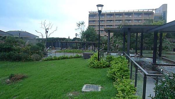 P1130667