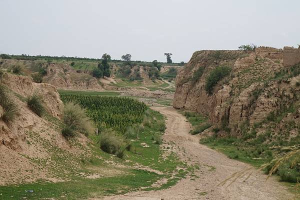 DSC02057